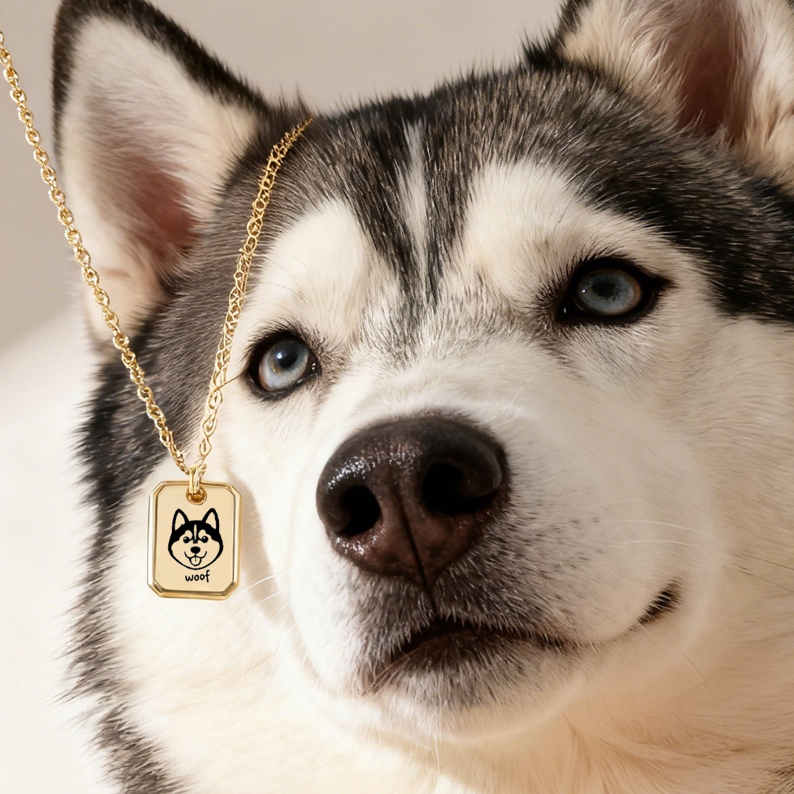 Pet Portrait